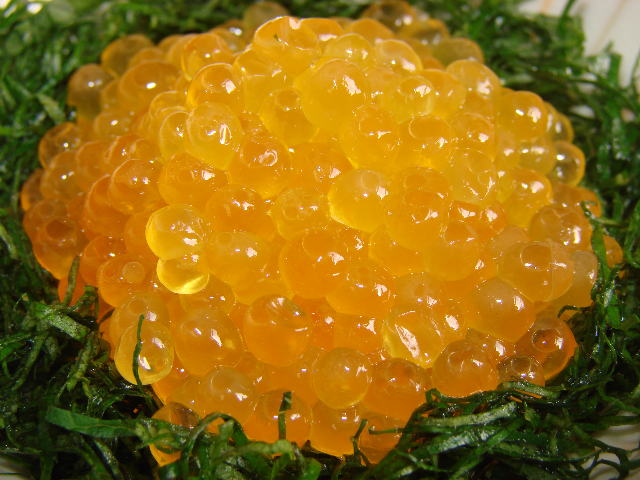 季節のおすすめ料理